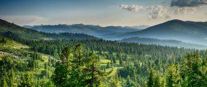 An aerial photo of hills and a forest